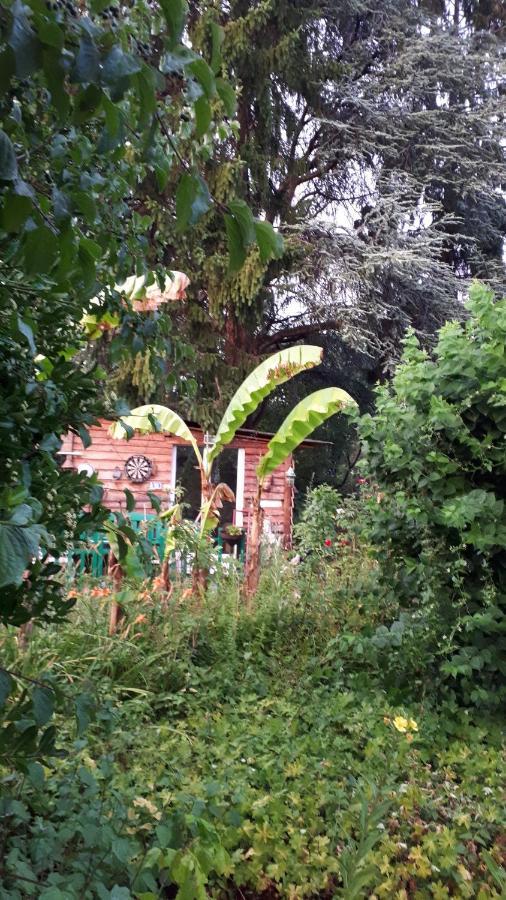 Le Jardin Des Merveilles Saint-Pierre-d'Autils Екстер'єр фото