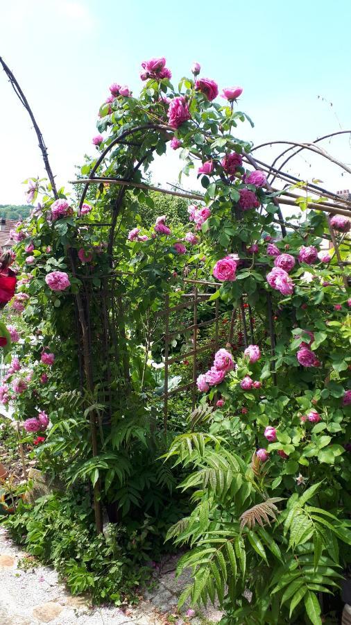 Le Jardin Des Merveilles Saint-Pierre-d'Autils Екстер'єр фото