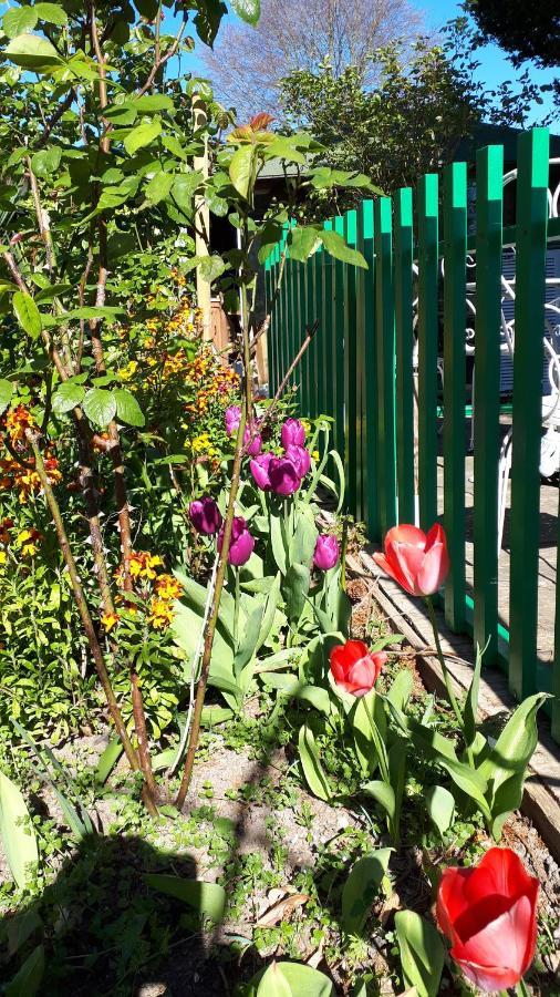 Le Jardin Des Merveilles Saint-Pierre-d'Autils Екстер'єр фото